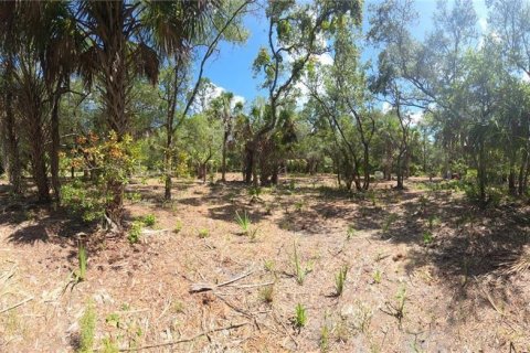Land in Inglis, Florida № 2232477 - photo 9