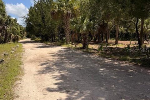 Land in Inglis, Florida № 2232477 - photo 5