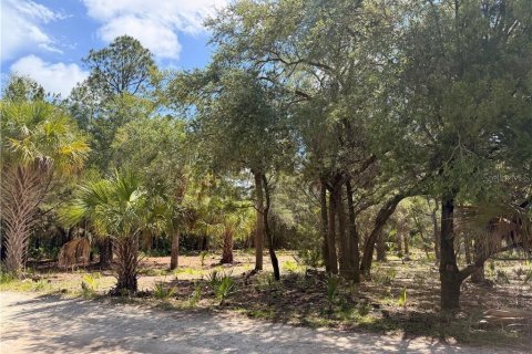 Terreno en Inglis, Florida № 2232477