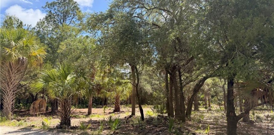 Land in Inglis, Florida № 2232477