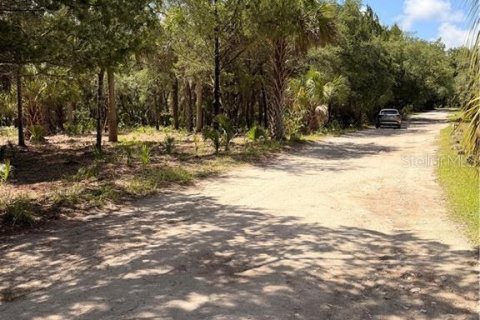 Land in Inglis, Florida № 2232477 - photo 4