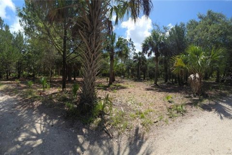 Land in Inglis, Florida № 2232477 - photo 8