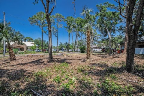 Terreno en venta en Seminole, Florida № 1614902 - foto 15