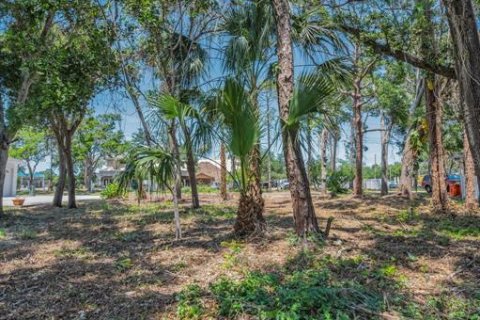 Terreno en venta en Seminole, Florida № 1614902 - foto 19