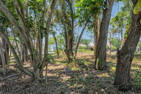 Terreno en venta en Seminole, Florida № 1614902 - foto 18