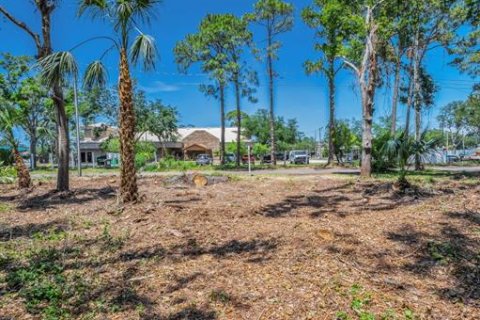 Terreno en venta en Seminole, Florida № 1614902 - foto 16