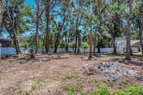 Terreno en venta en Seminole, Florida № 1614902 - foto 25