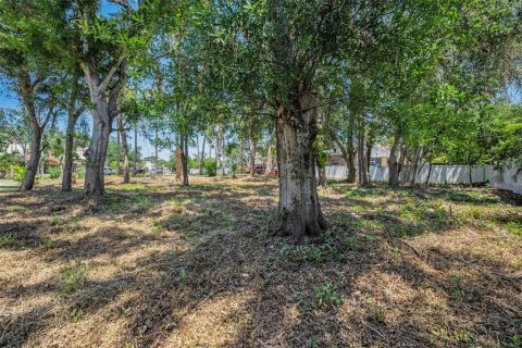 Terreno en venta en Seminole, Florida № 1614902 - foto 20