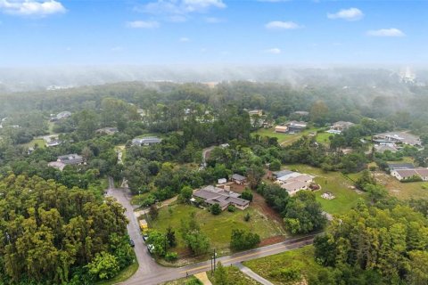 Casa en venta en New Port Richey, Florida, 4 dormitorios, 274.8 m2 № 2410026 - foto 7