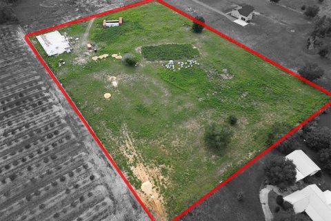 Land in Groveland, Florida № 1780218 - photo 10