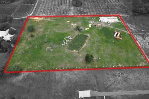 Land in Groveland, Florida № 1780218 - photo 7