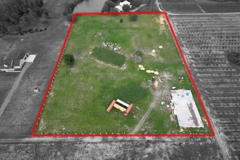 Land in Groveland, Florida № 1780218 - photo 5