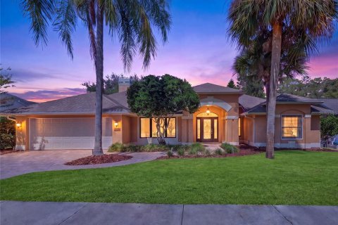 House in Palm Harbor, Florida 4 bedrooms, 256.04 sq.m. № 2393639