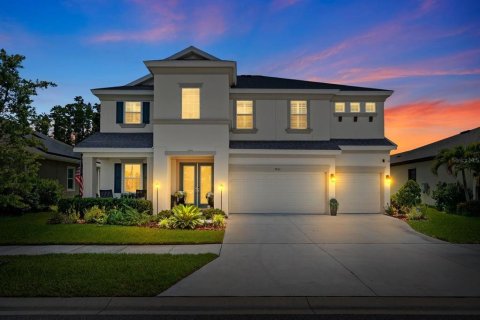 Villa ou maison à Apollo Beach, Floride 5 chambres, 331.2 m2 № 2147671