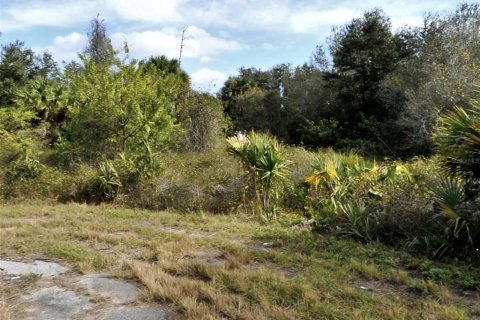 Terrain à North Port, Floride № 2211463