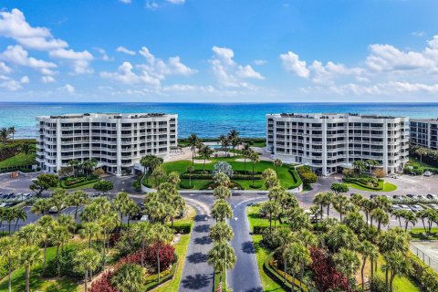 Condominio en venta en Palm Beach, Florida, 3 dormitorios, 358.51 m2 № 2260316 - foto 17