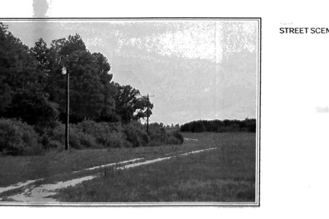 Land in Clermont, Florida № 1030062 - photo 9