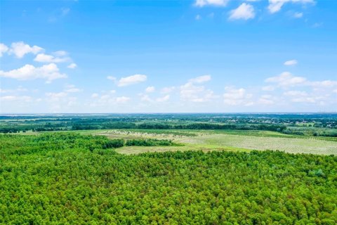 Land in Clermont, Florida № 1030062 - photo 24
