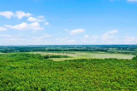 Land in Clermont, Florida № 1030062 - photo 25