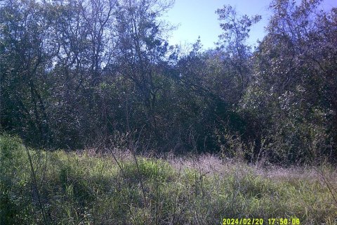 Land in Clermont, Florida № 1030062 - photo 6