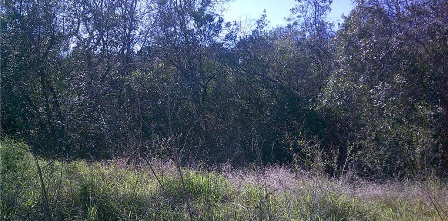 Land in Clermont, Florida № 1030062