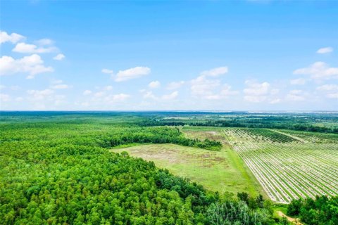 Land in Clermont, Florida № 1030062 - photo 19