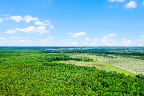 Land in Clermont, Florida № 1030062 - photo 21