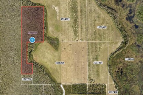 Land in Clermont, Florida № 1030062 - photo 4