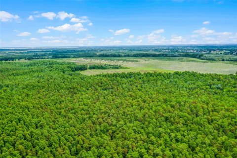 Land in Clermont, Florida № 1030062 - photo 23