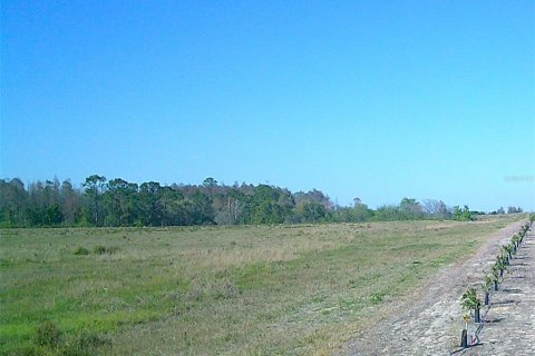 Land in Clermont, Florida № 1030062 - photo 5
