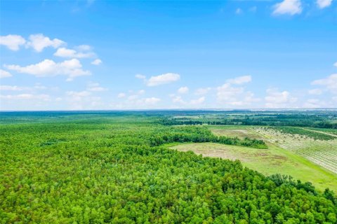 Land in Clermont, Florida № 1030062 - photo 20