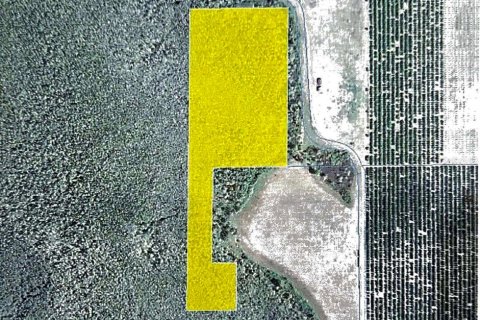 Land in Clermont, Florida № 1030062 - photo 12