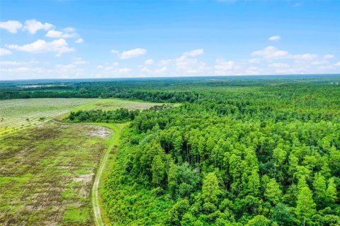 Land in Clermont, Florida № 1030062 - photo 16