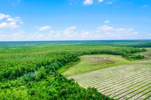 Land in Clermont, Florida № 1030062 - photo 17