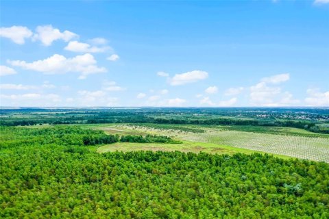 Land in Clermont, Florida № 1030062 - photo 22