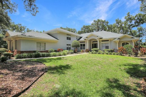House in Fish Hawk, Florida 5 bedrooms, 447.88 sq.m. № 2315190 - photo 2