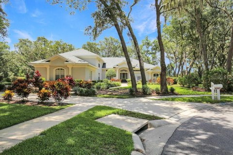 House in Fish Hawk, Florida 5 bedrooms, 447.88 sq.m. № 2315190