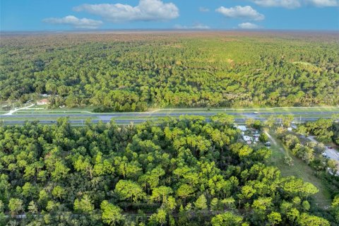 Land in Homosassa, Florida № 1399565 - photo 3