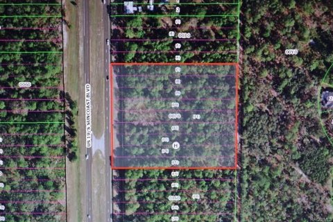 Land in Homosassa, Florida № 1399565 - photo 6