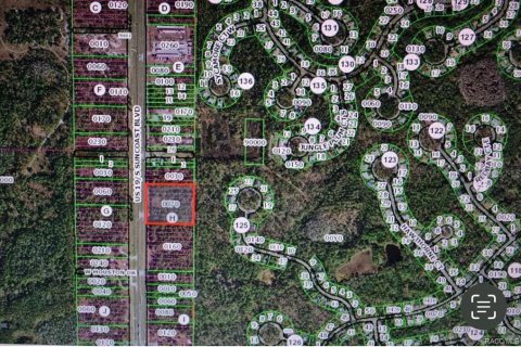 Land in Homosassa, Florida № 1399565 - photo 7