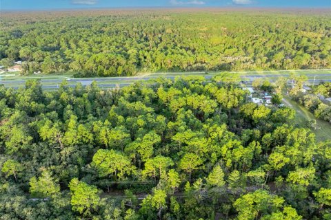 Land in Homosassa, Florida № 1399565 - photo 5