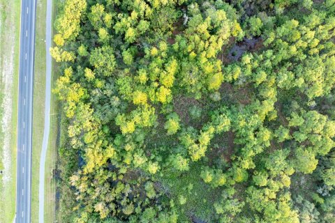 Land in Homosassa, Florida № 1399565 - photo 4