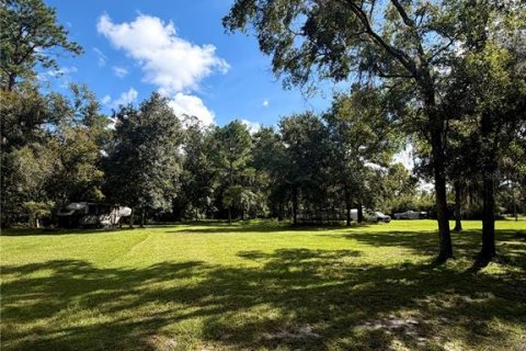 Land in Gainesville, Florida № 2394267 - photo 17