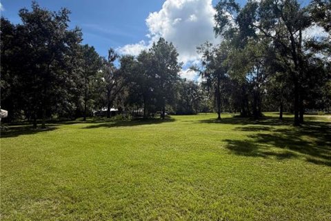 Land in Gainesville, Florida № 2394267 - photo 12