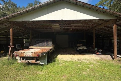 Land in Gainesville, Florida № 2394267 - photo 14