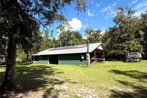 Land in Gainesville, Florida № 2394267 - photo 16