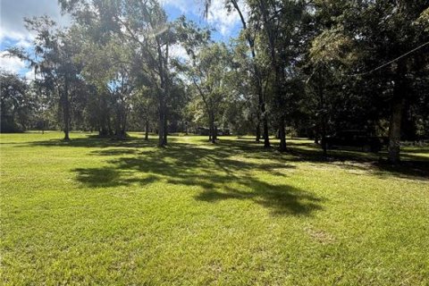 Land in Gainesville, Florida № 2394267 - photo 15