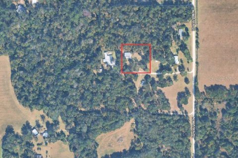 Land in Gainesville, Florida № 2394267 - photo 19