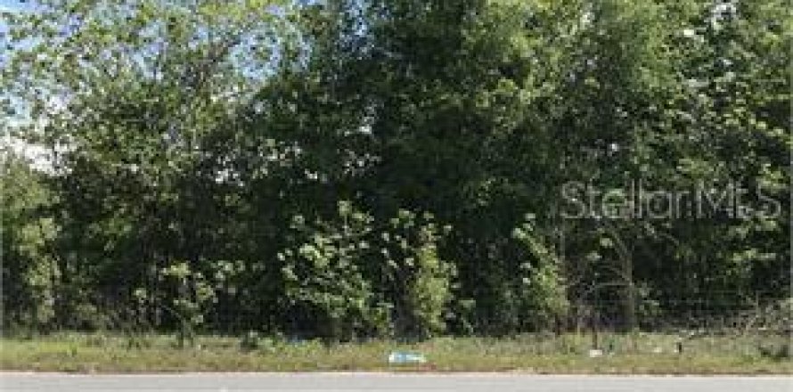 Terreno en Wildwood, Florida № 1555442