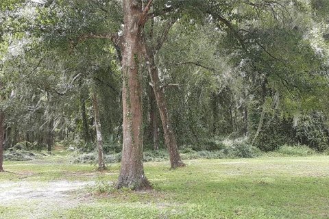 Terreno en venta en Wildwood, Florida № 1555442 - foto 3